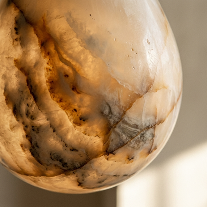 GOTA